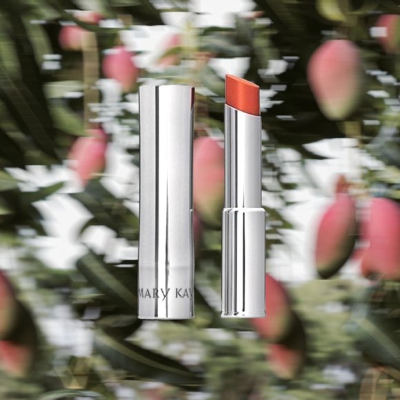 Exotic Mango - Mary Kay True Dimensions Lipstick - Discontinued - Rare! - Picture 6 of 6